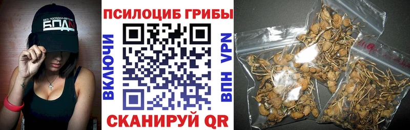 Купить закладки  Петровск-Забайкальский  Галлюциногенные грибы прущие грибы 
