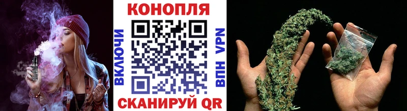 Купить закладки  Петровск-Забайкальский  Каннабис LSD WEED 